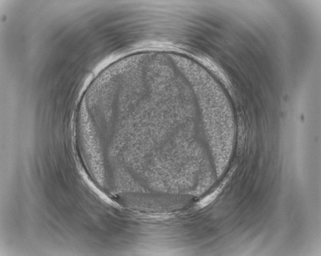 X0000085821382200704091621