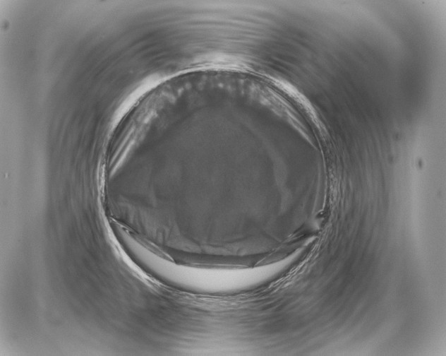 X0000085821383200704091621