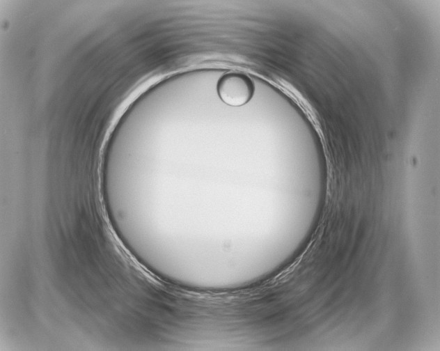 X0000085821384200704091621