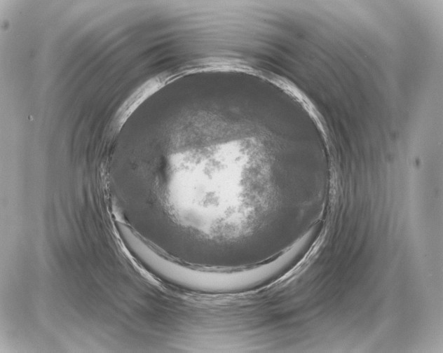 X0000085821385200704091621