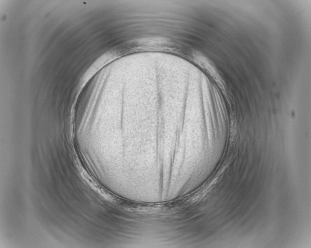 X0000085821386200704091621