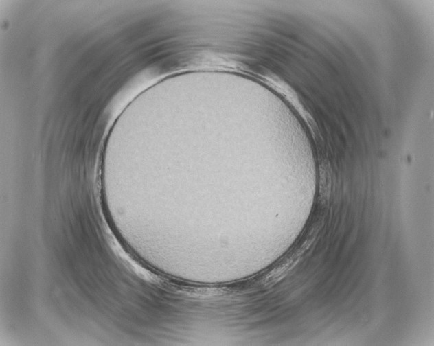 X0000085821387200704091621