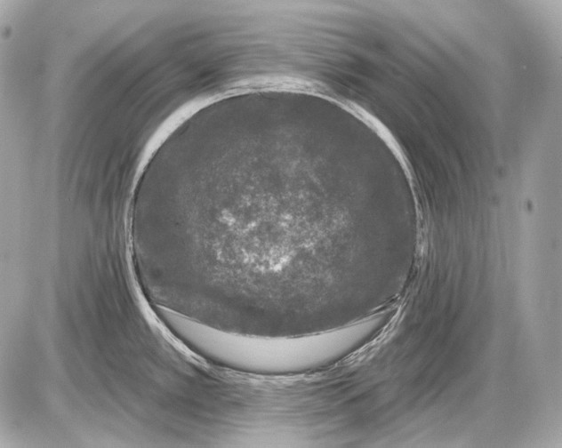 X0000085821389200704091621