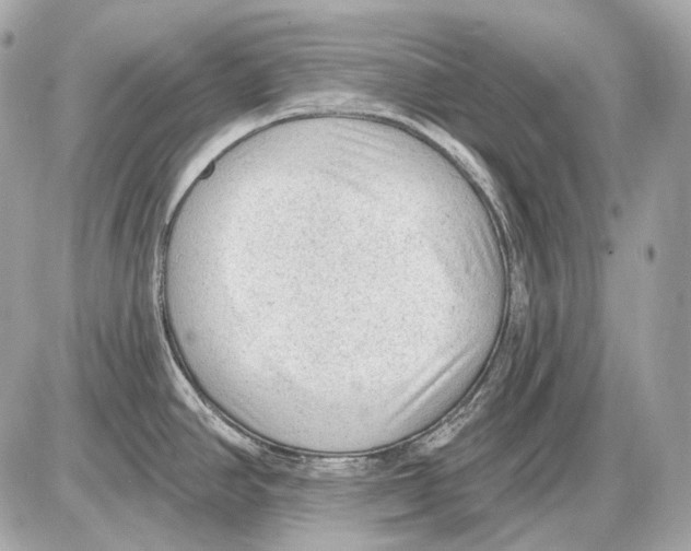 X0000085821390200704091621