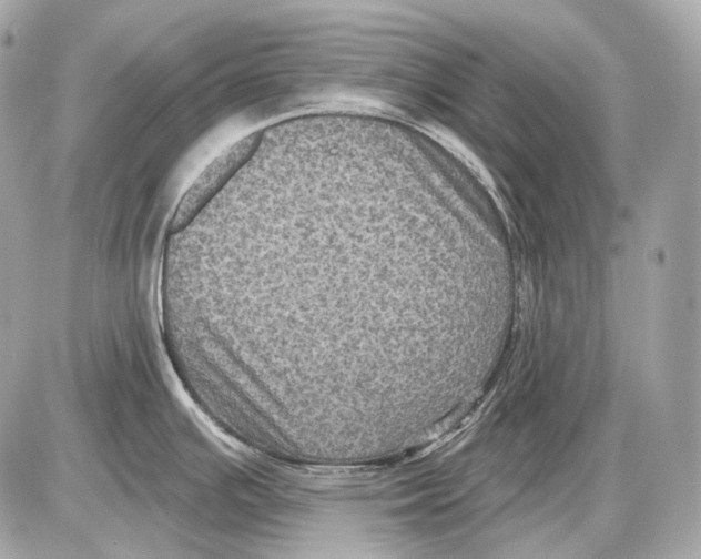 X0000085821391200704091621