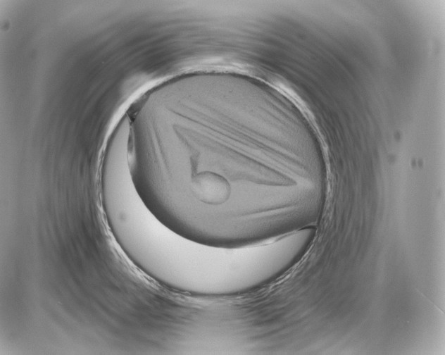 X0000085821392200704091621