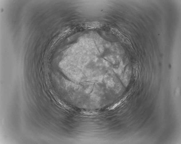 X0000085821393200704091620