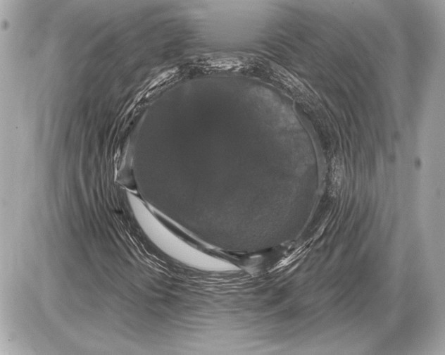 X0000085821394200704091620