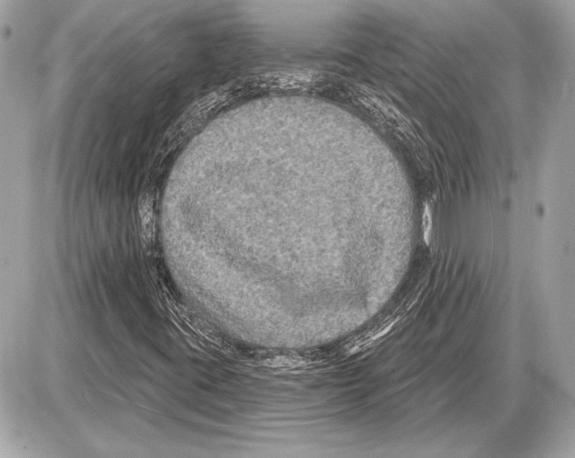 X0000085821395200704091620