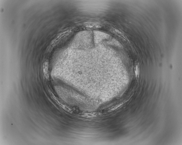 X0000085821396200704091620