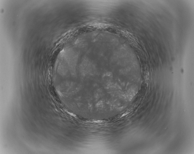 X0000085821397200704091620