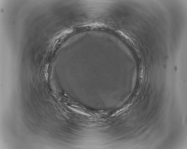 X0000085821398200704091620