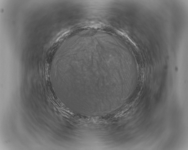 X0000085821399200704091620