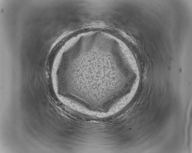 X0000085821400200704091620