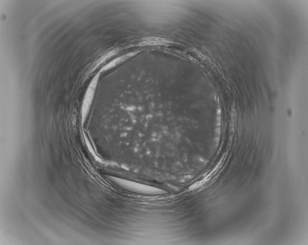 X0000085821401200704091620