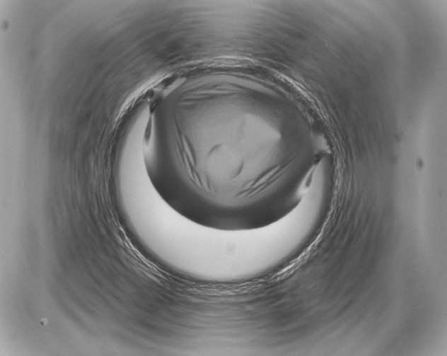 X0000085821402200704091620