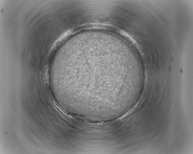 X0000085821403200704091620