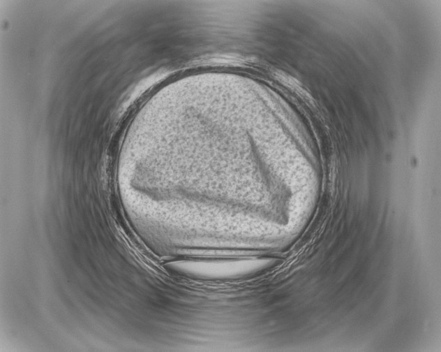 X0000085821404200704091620