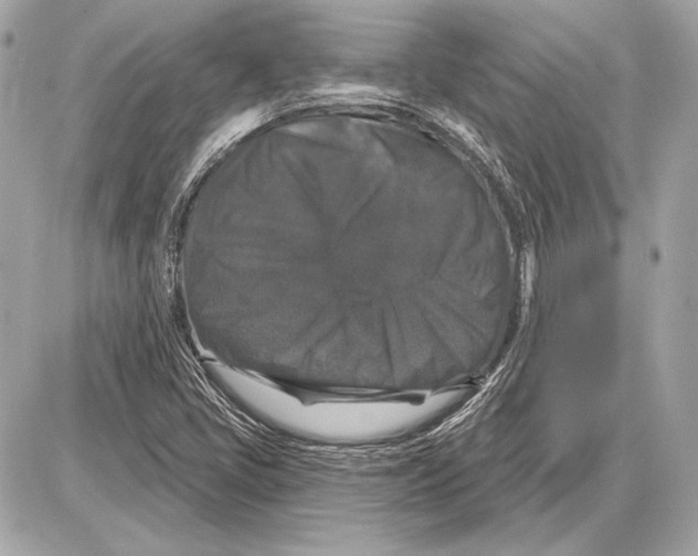 X0000085821405200704091620