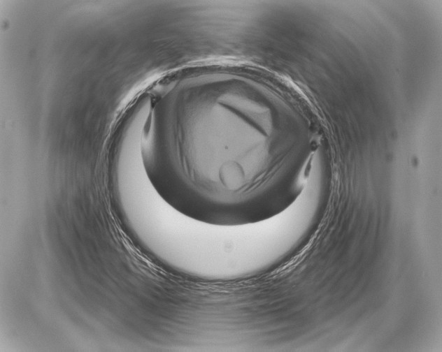 X0000085821406200704091620