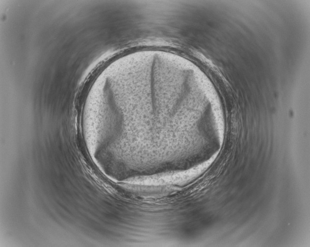 X0000085821408200704091620