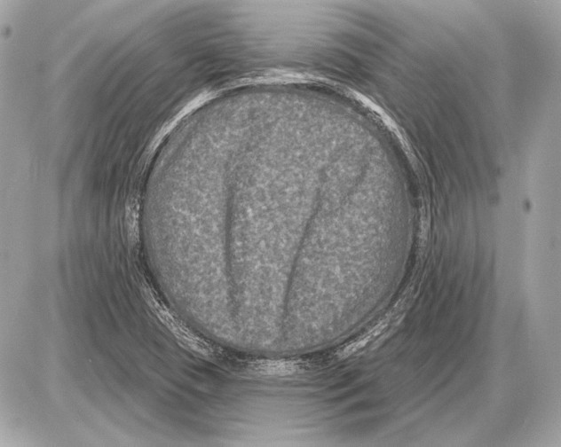 X0000085821409200704091620