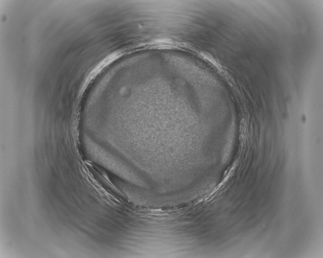 X0000085821410200704091620