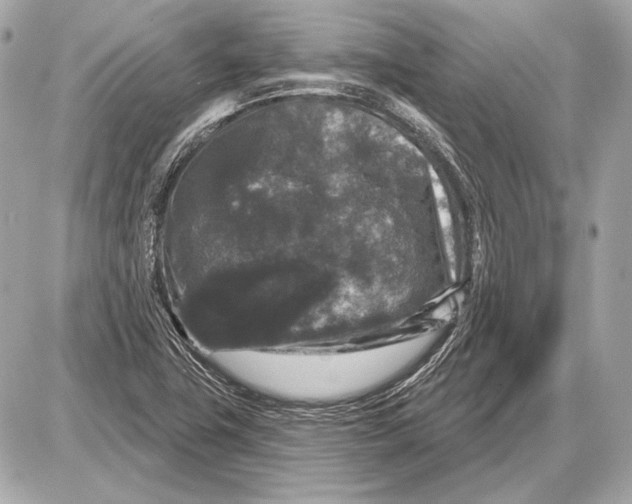 X0000085821411200704091620