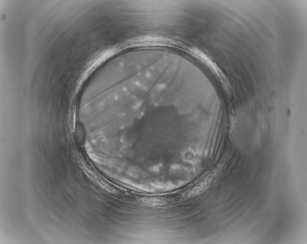 X0000085821413200704091620