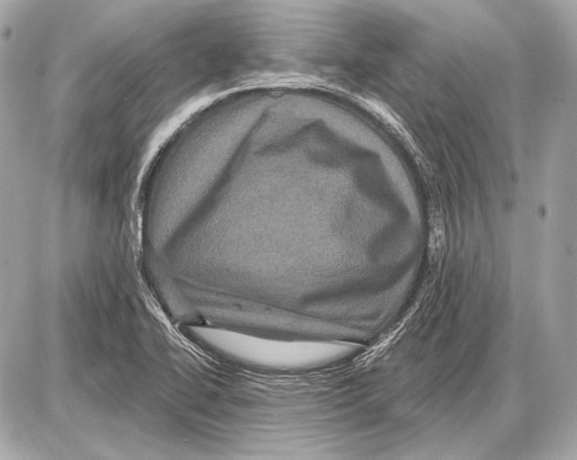 X0000085821414200704091620