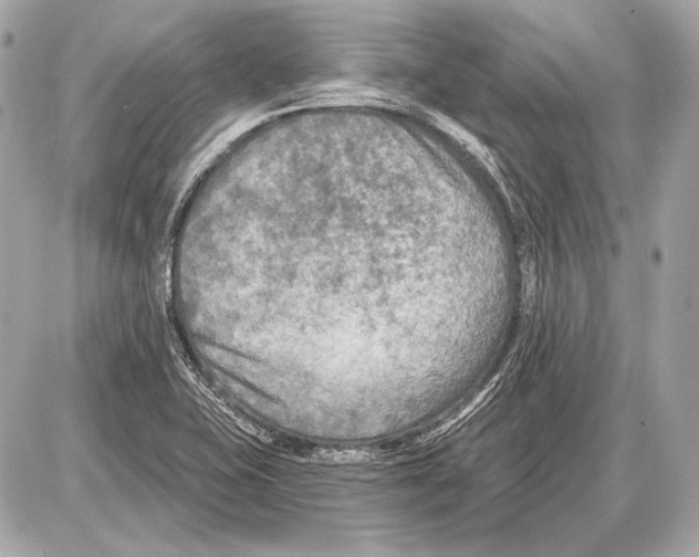 X0000085821415200704091620