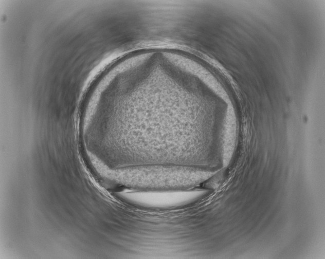 X0000085821416200704091620