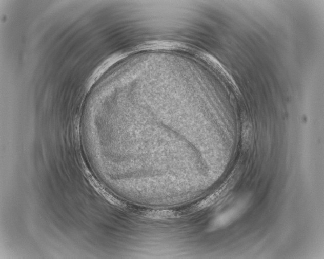 X0000085821417200704091620