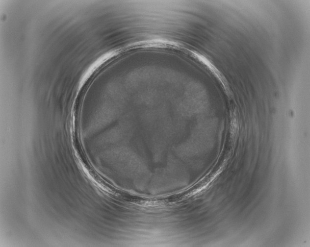 X0000085821418200704091620