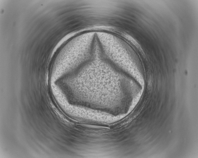 X0000085821420200704091620