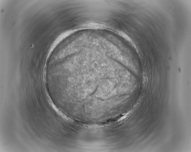 X0000085821421200704091620