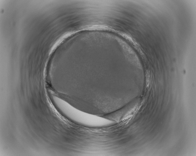 X0000085821422200704091621