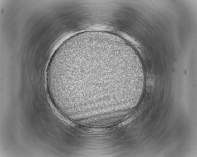 X0000085821423200704091621