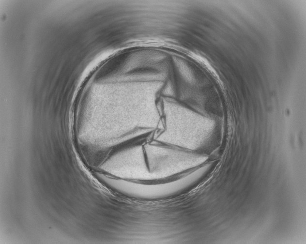 X0000085821424200704091621