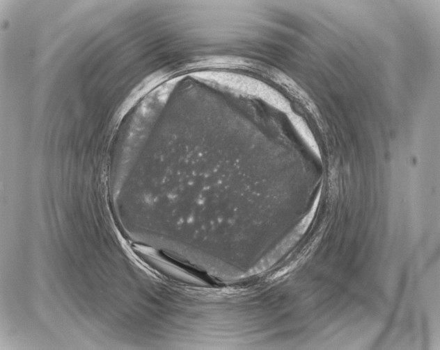 X0000085821425200704091621