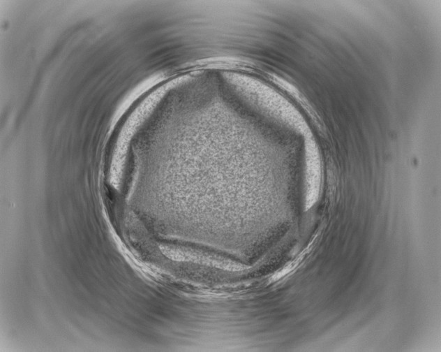 X0000085821426200704091621