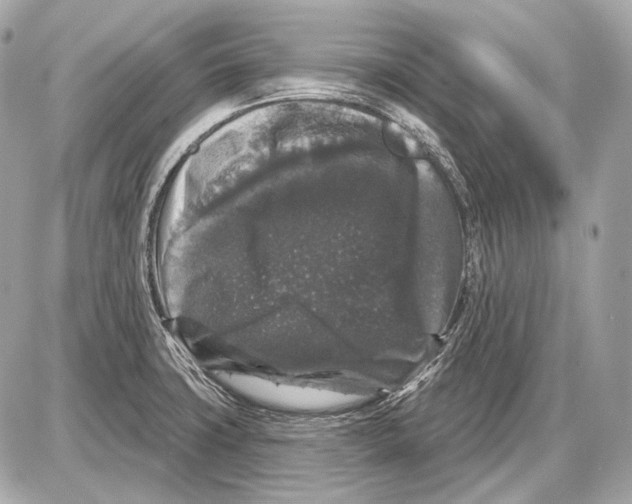 X0000085821427200704091621