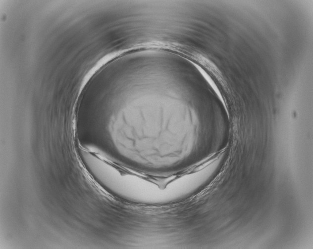 X0000085821428200704091621