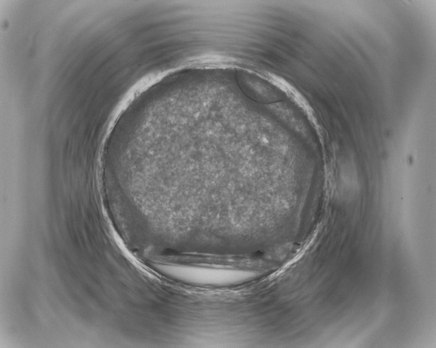 X0000085821429200704091621