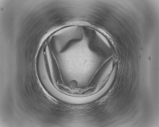 X0000085821430200704091621