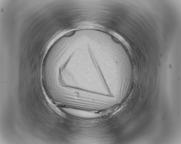 X0000085821431200704091621