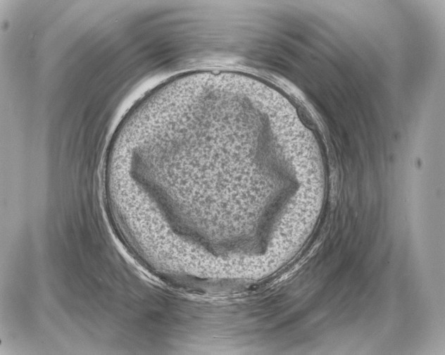 X0000085821432200704091621