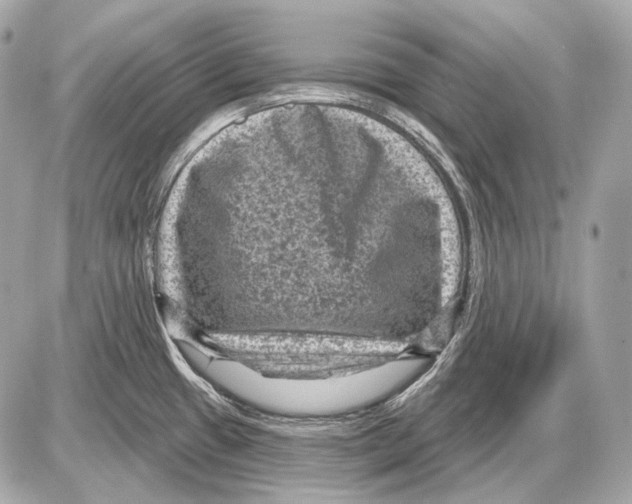 X0000085821433200704091621