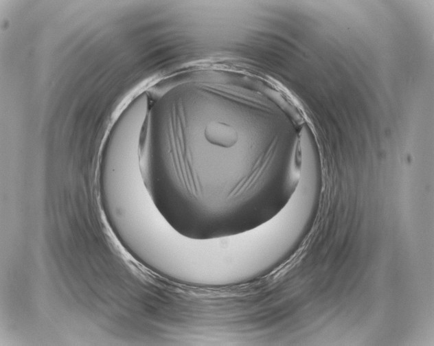 X0000085821434200704091621