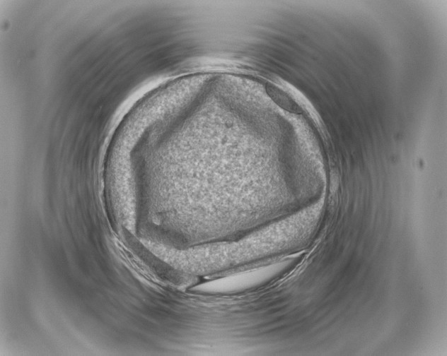 X0000085821435200704091621